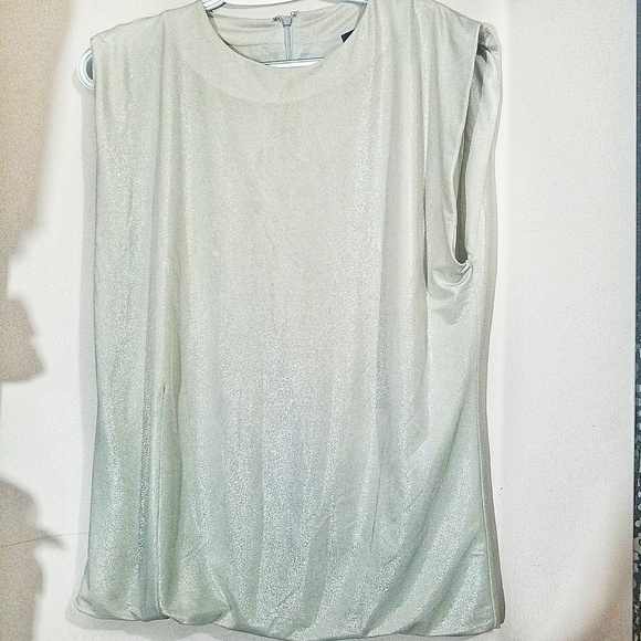 Zara Tops - Zara Collection Silver Shimmer Top L EUC